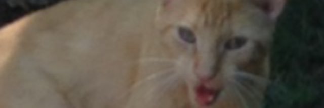 Djones7Man's profile banner image