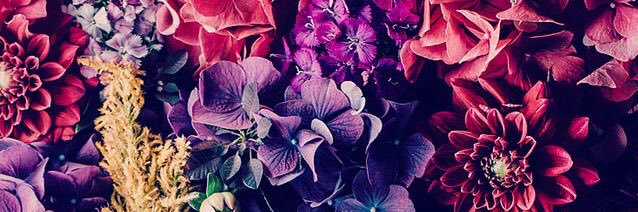 whtnyvnd's profile banner image