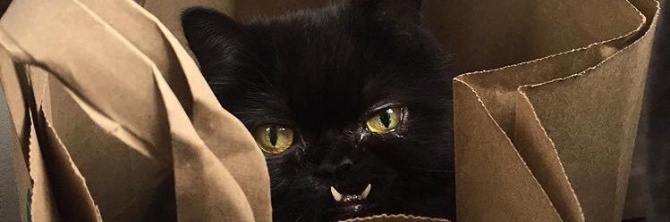 hollharl's profile banner image