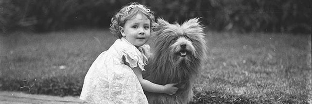 ACT With Compassion banner