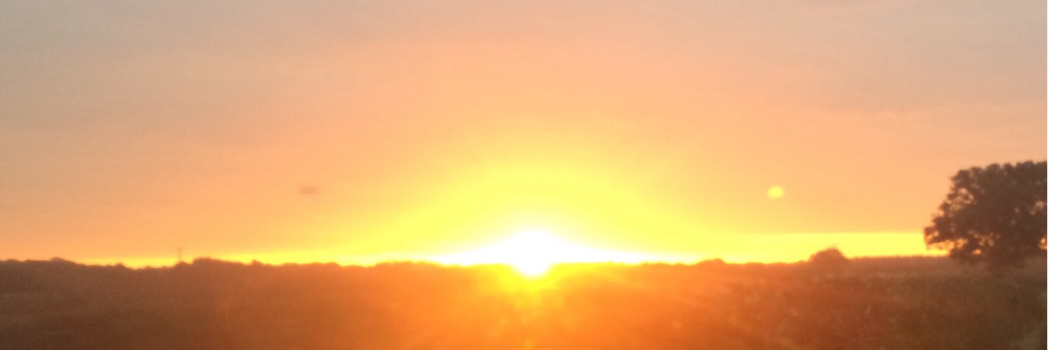 Kelly_Bibb's profile banner image