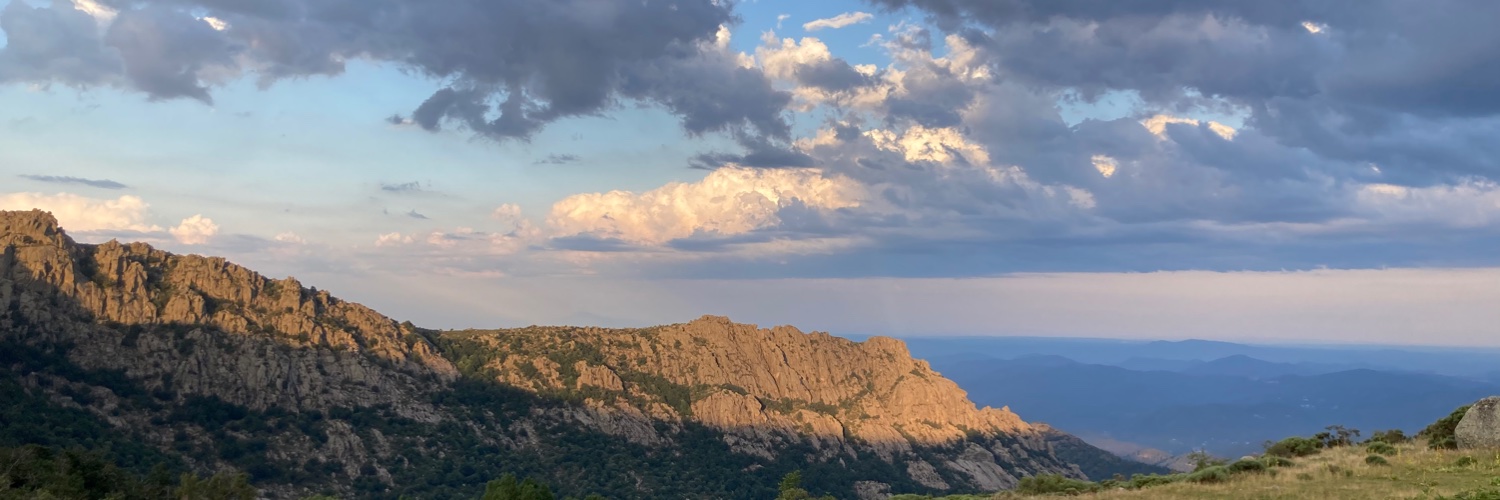 Valérie Schmitt banner