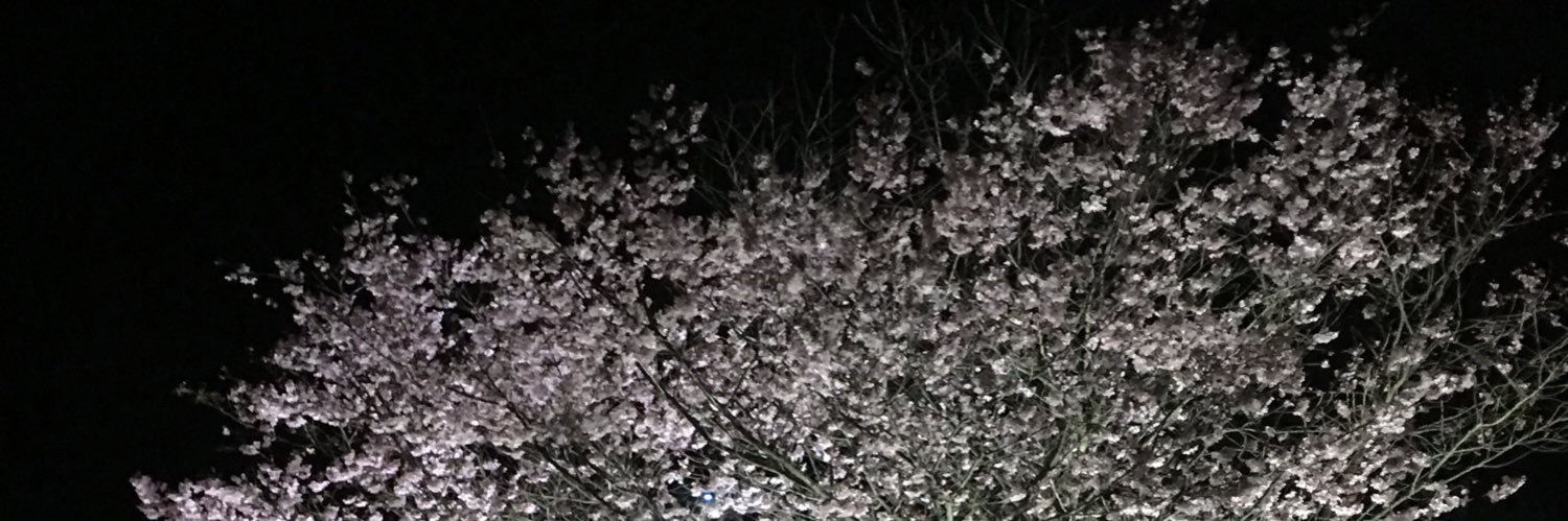 riqem1081's profile banner image