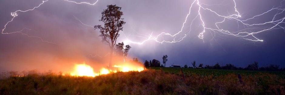 David Simpson banner