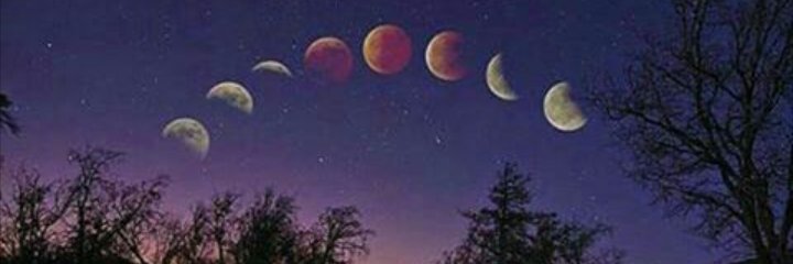 lachiqui___'s profile banner image