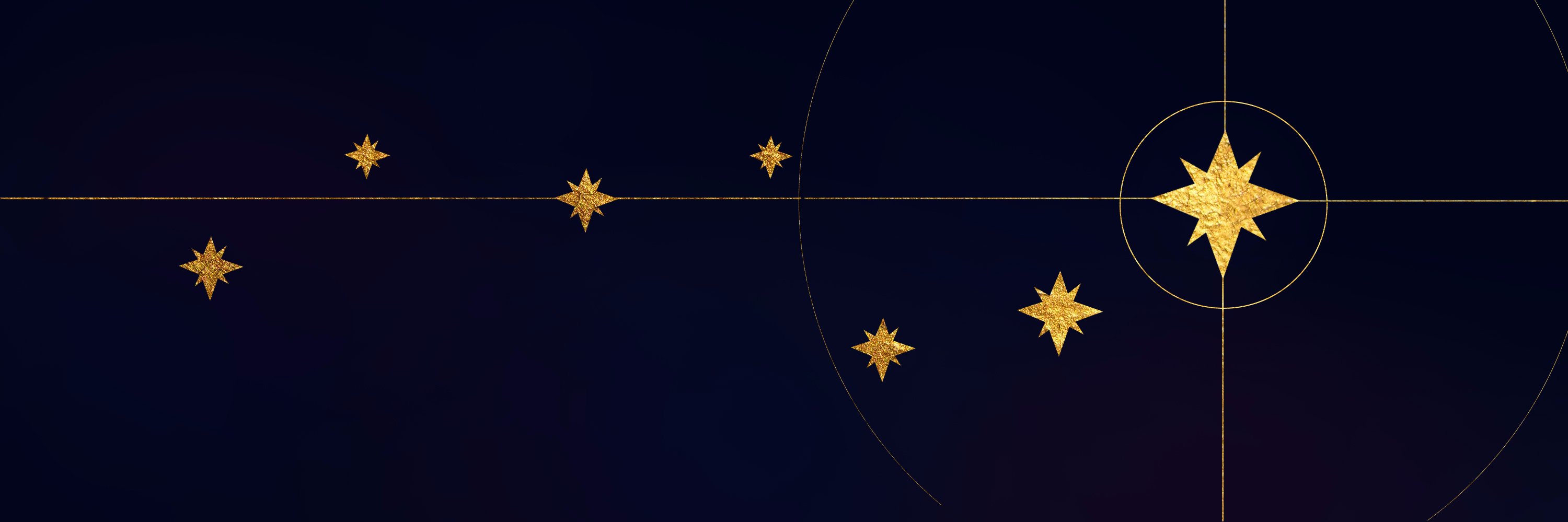 TurtlePerch's profile banner image