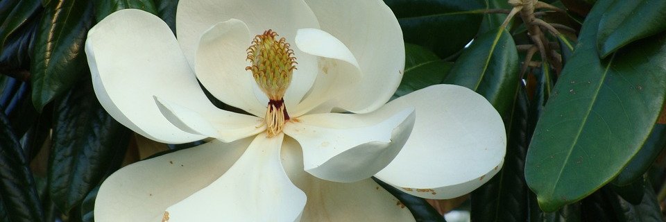 Maritza9111's profile banner image