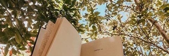 Saraim__'s profile banner image