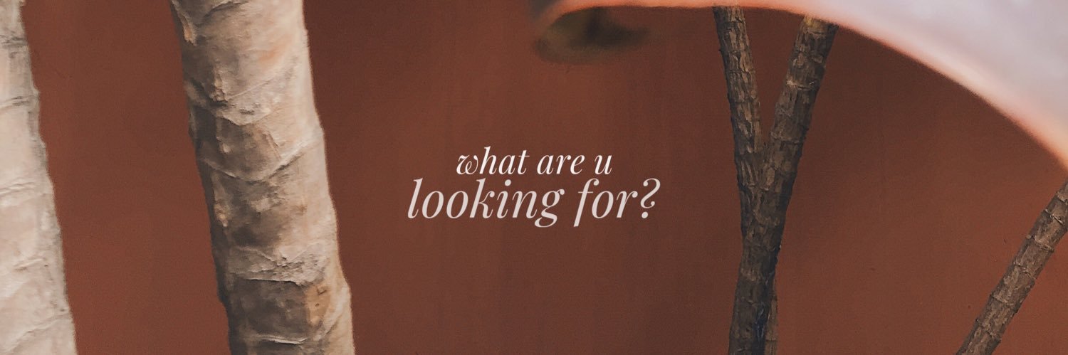 elisadison's profile banner image