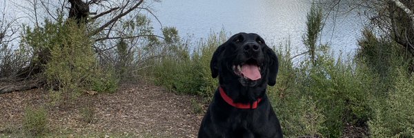 macimeyer Profile Banner