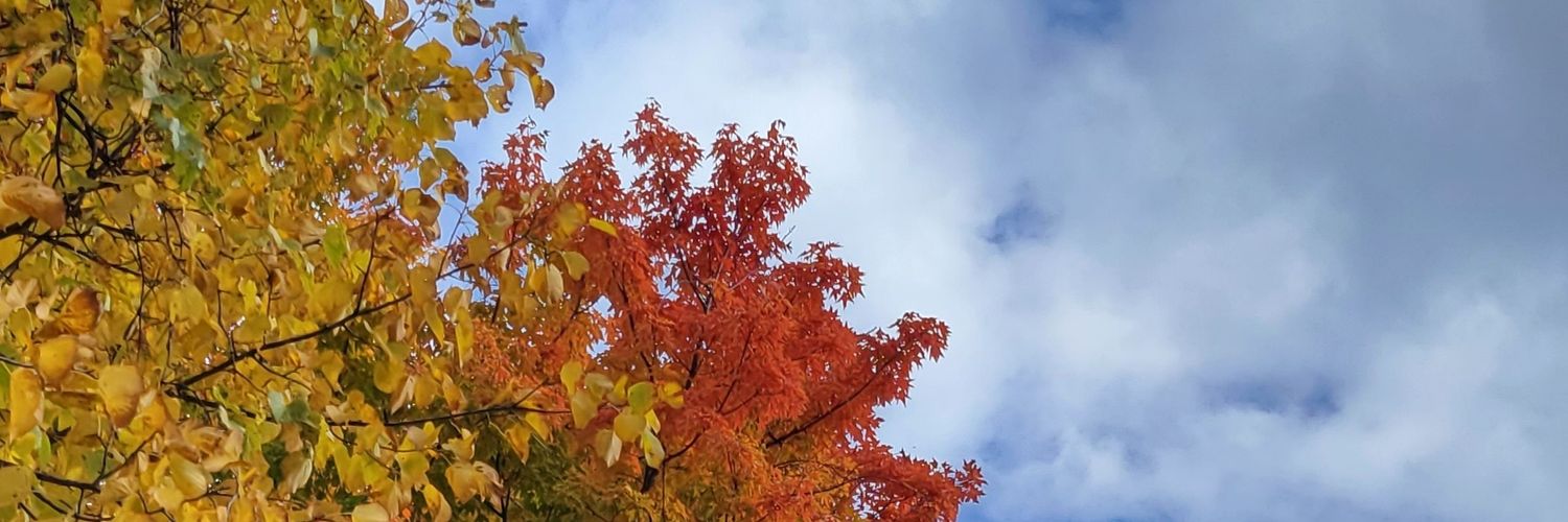 EmBozzo's profile banner image