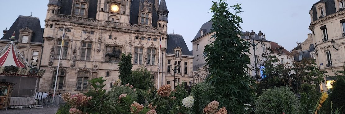 Bea Lanzi banner