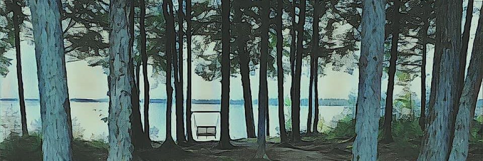 TimHourihan's profile banner image