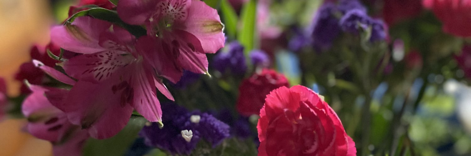 __cath's profile banner image