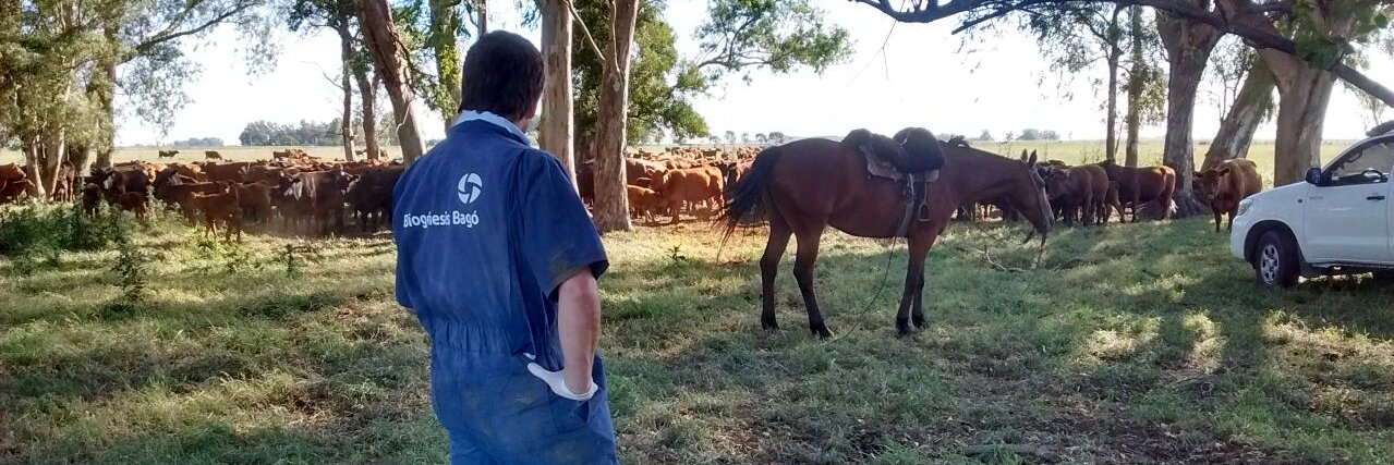 Marcos Saint Martin banner