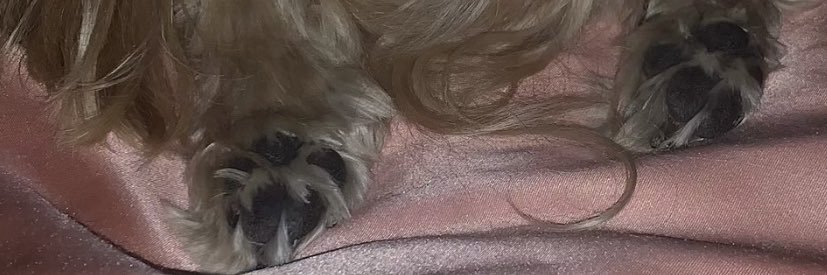 bbyhestyles's profile banner image