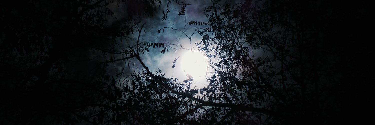 sokowicz's profile banner image