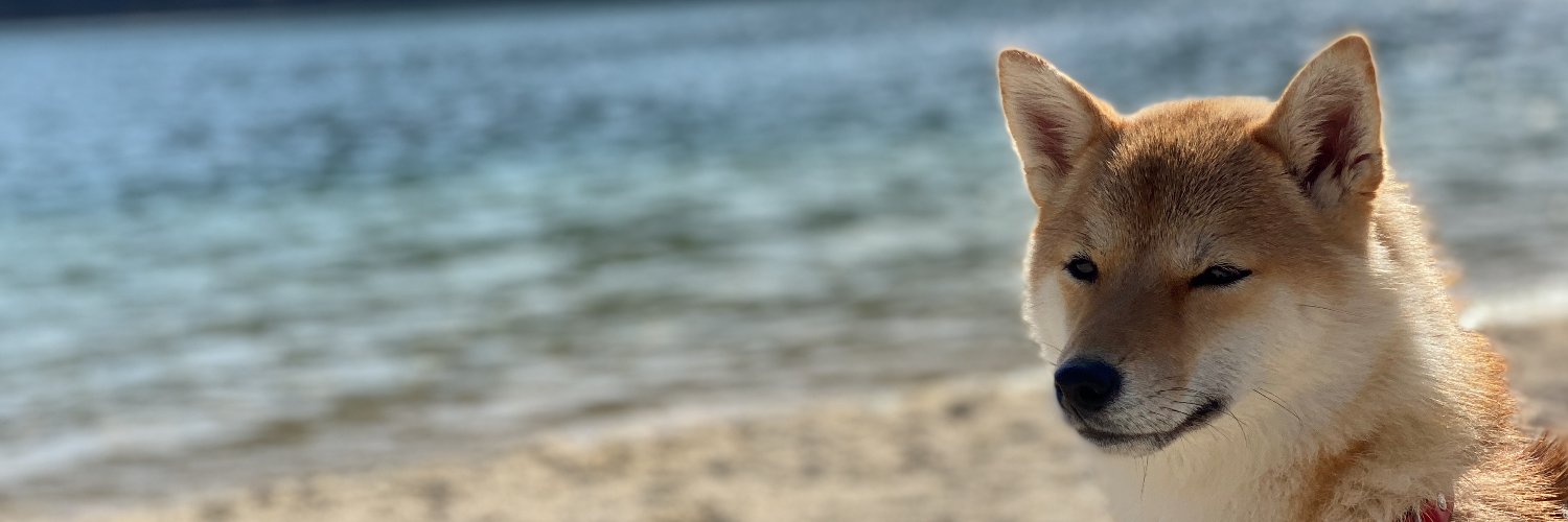 Stefan Prodan banner