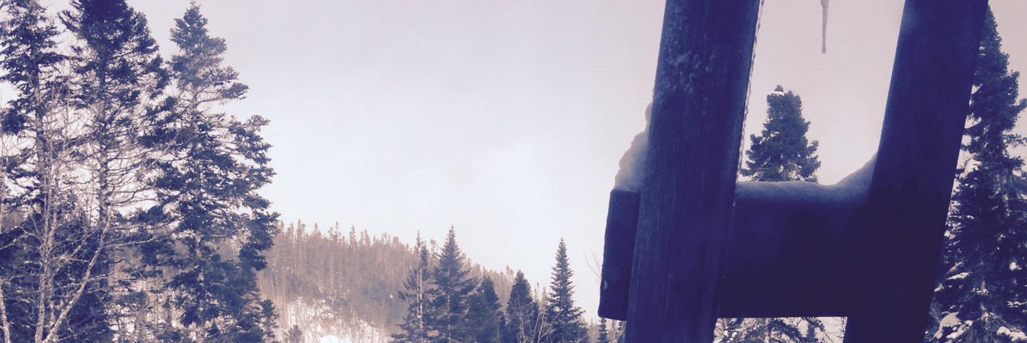 chels_vincent's profile banner image