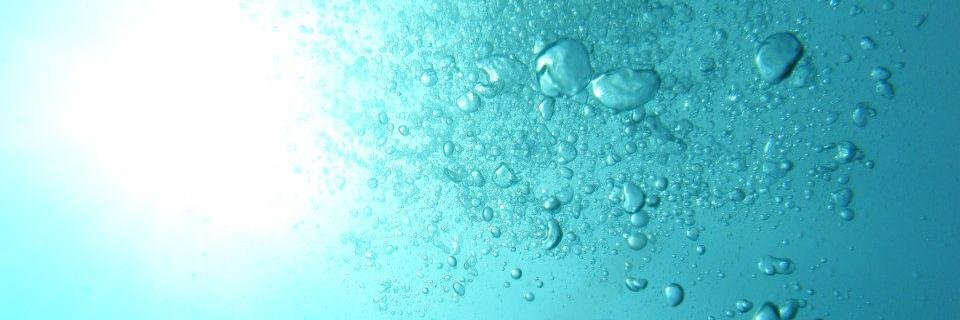 anoceanwanderer's profile banner image