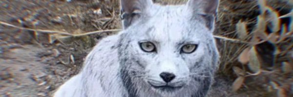 johnpalmer Profile Banner