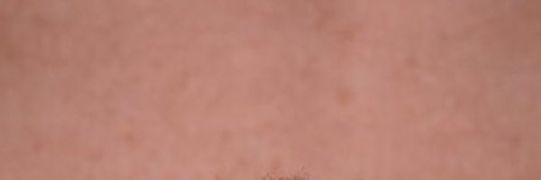 ameliawalker__ Profile Banner