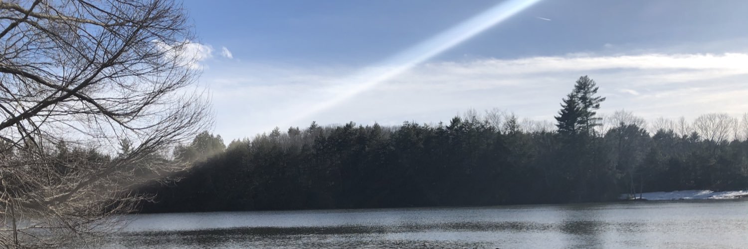 ReallyAFox's profile banner image