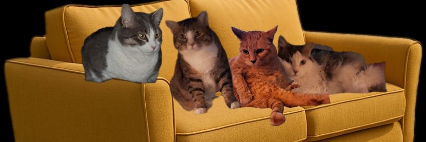 Karebear911's profile banner image
