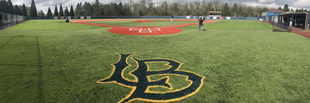 Linn-Benton Baseball banner
