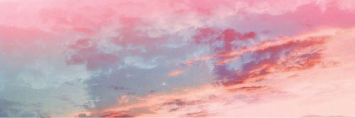 daisyrays's profile banner image