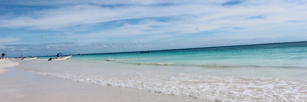 emeligustavson's profile banner image