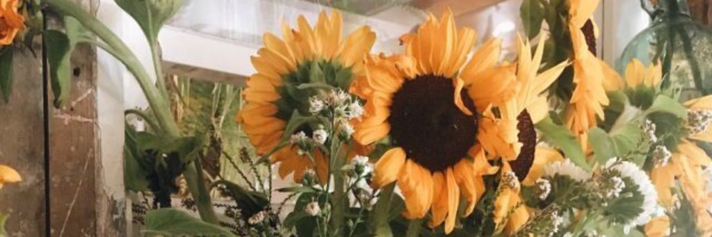 Okayyy_Monae's profile banner image