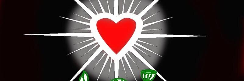 dolisastra1's profile banner image