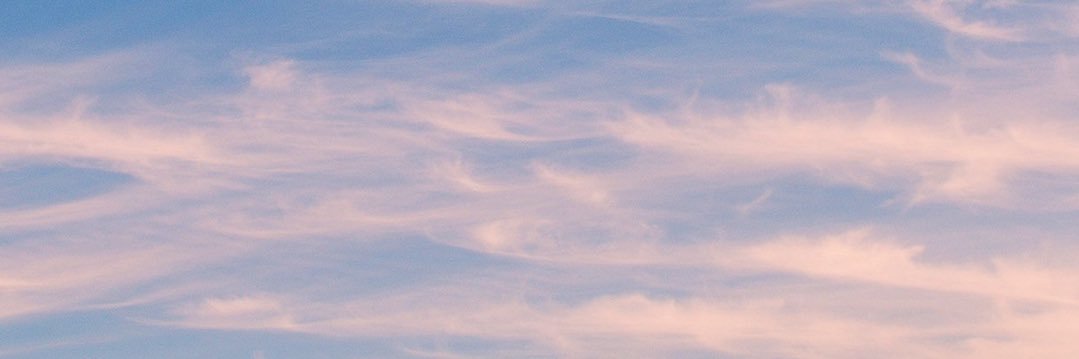 denissevlobos's profile banner image