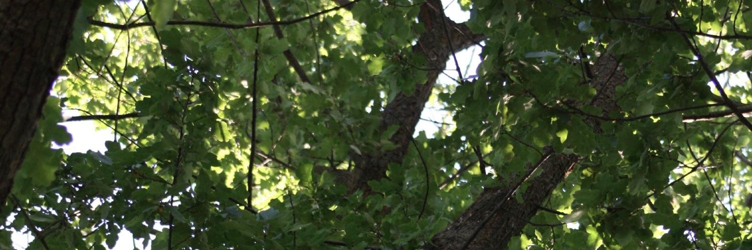 Vernon Comm School banner