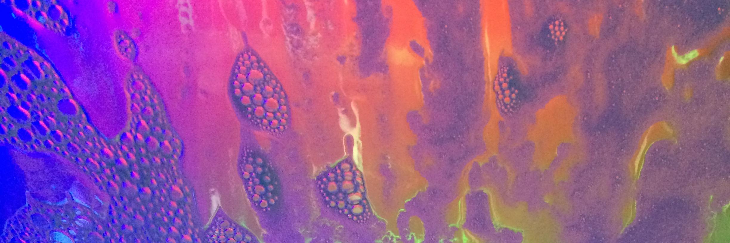MandiPants1026's profile banner image