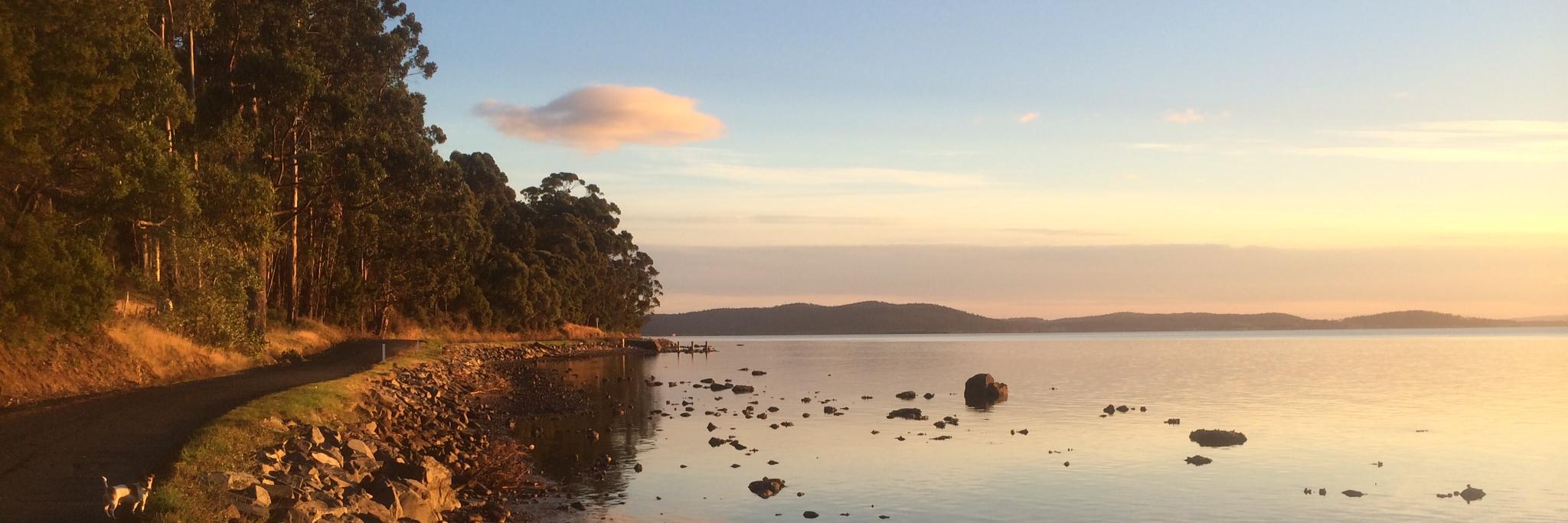 Rural Doctors Tas banner