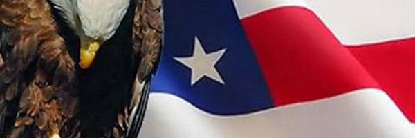cindybaconbits Profile Banner