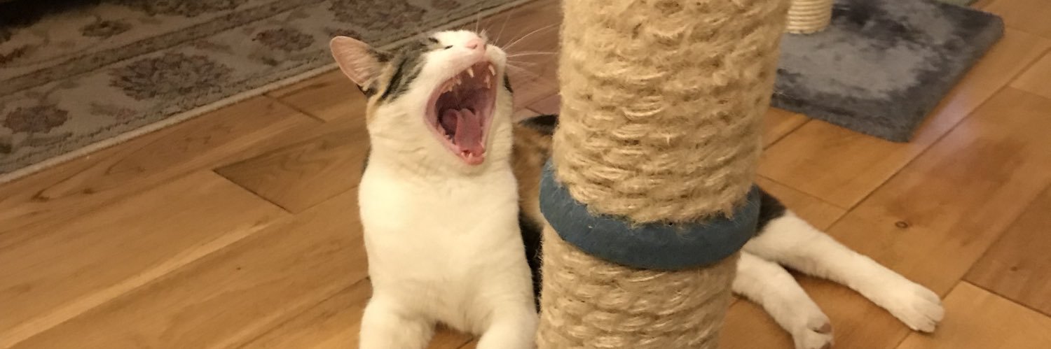 Cosbro_Kramer's profile banner image