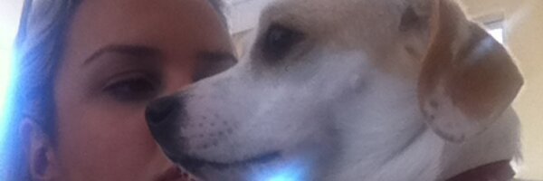 NickSialmasi's profile banner image