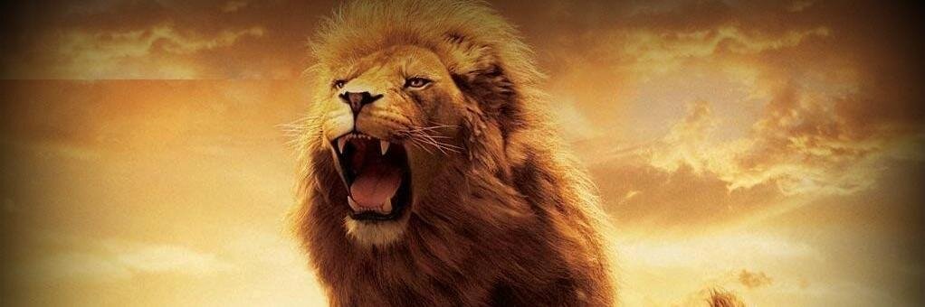 ManishKulkarn17's profile banner image