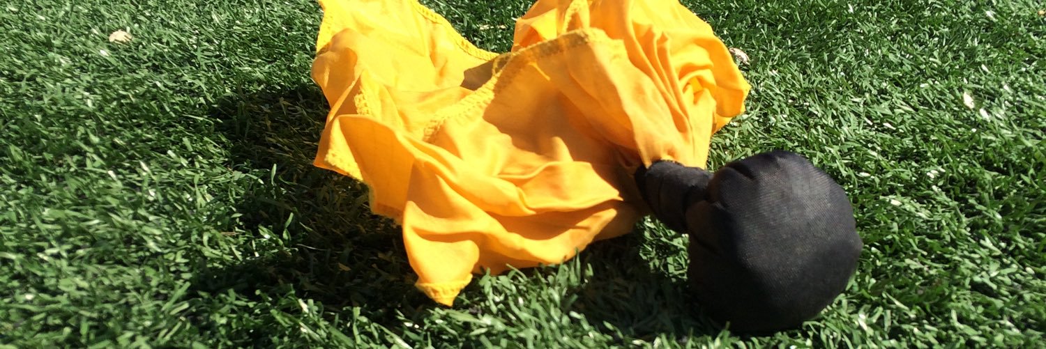 LegacyZebraCFB's profile banner image
