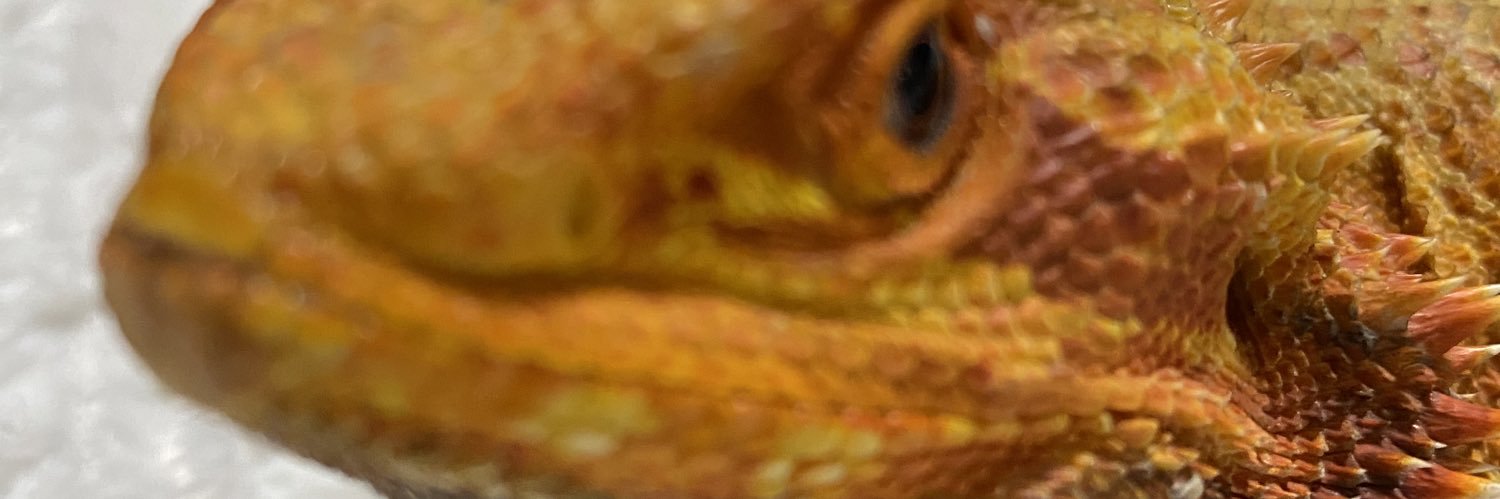 Aimz #Resister #proudmom #BLM #AmericaorTrump banner