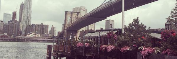 Elektra4 Profile Banner