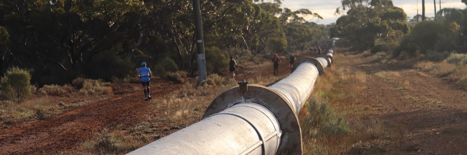 Fairlea Polmear banner