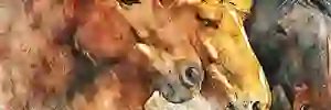 CervinCervin's profile banner image