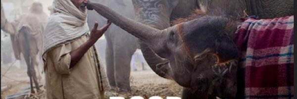 LukeXCunningham Profile Banner