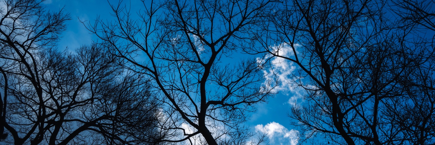 HMJM_hamady's profile banner image