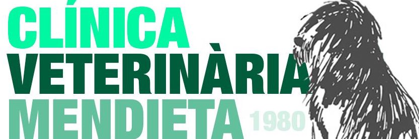 cvmendieta's profile banner image