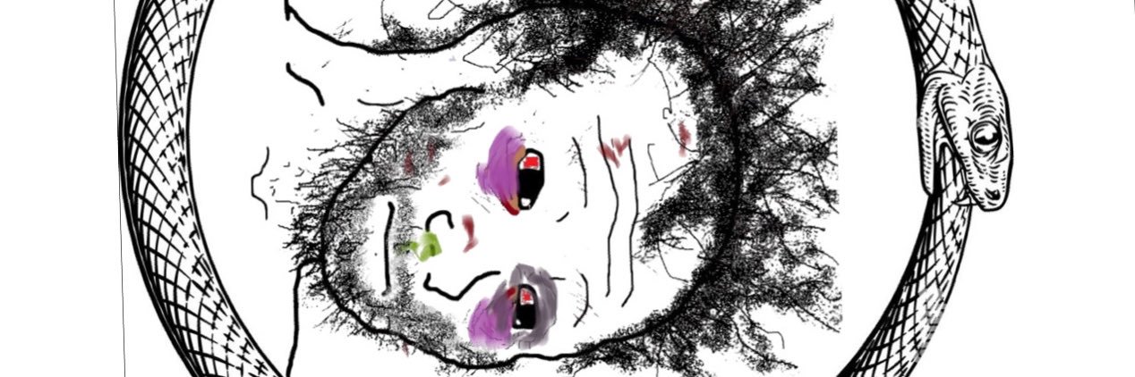 mybeautifulvoid's profile banner image